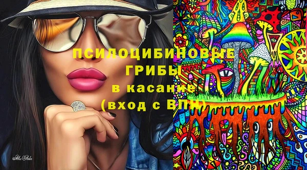 шишки Алзамай