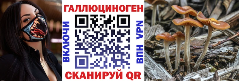 Псилоцибиновые грибы мицелий  Москва 